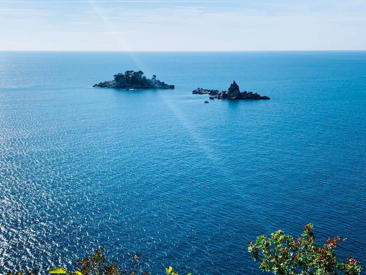 Best View Apartment Petrovac 外观 照片