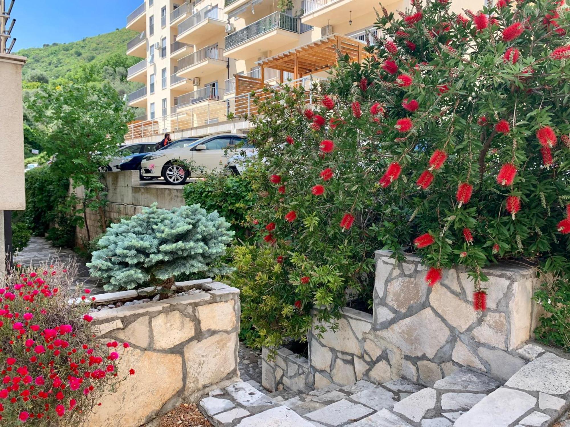 Best View Apartment Petrovac 外观 照片